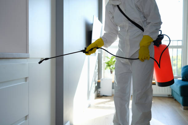Trusted Front Royal, VA Mold Removal Experts