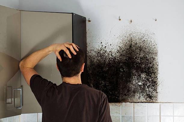 Mold Testing and Removal in Front Royal, VA